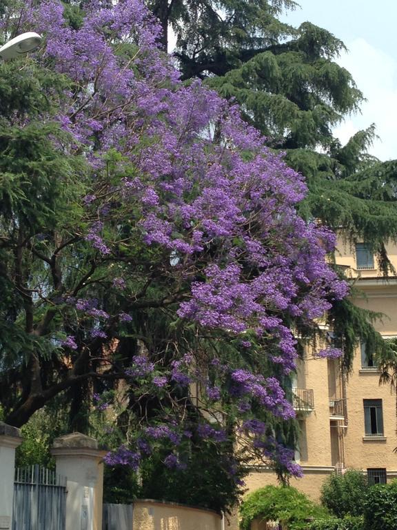 Room In Roma Isole Екстериор снимка